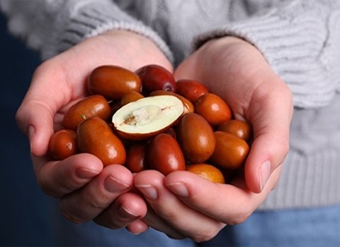 تصویر 2 از خرید عناب گلابی ایرانی + قیمت فروش استثنایی